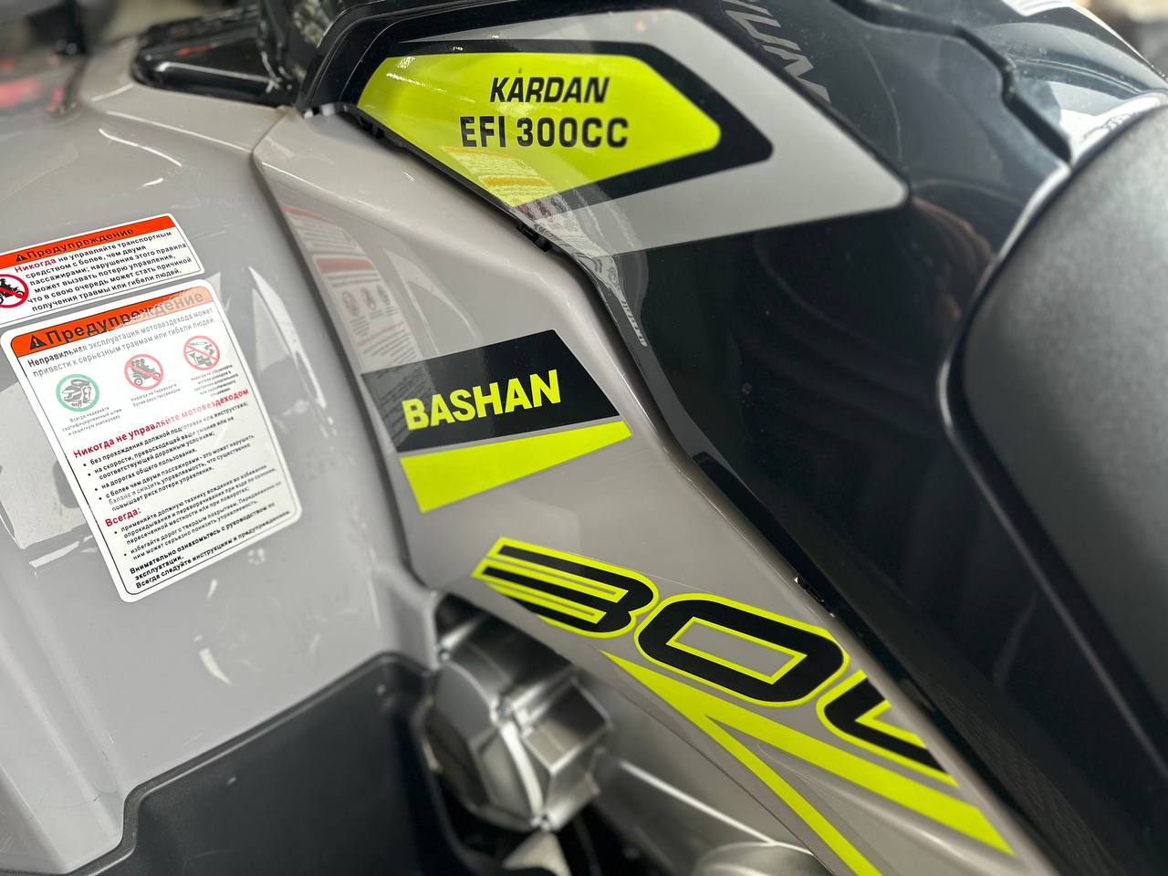 фото Квадроцикл Bashan Kardan 300 EFI 4*2 (сборочный комплект)