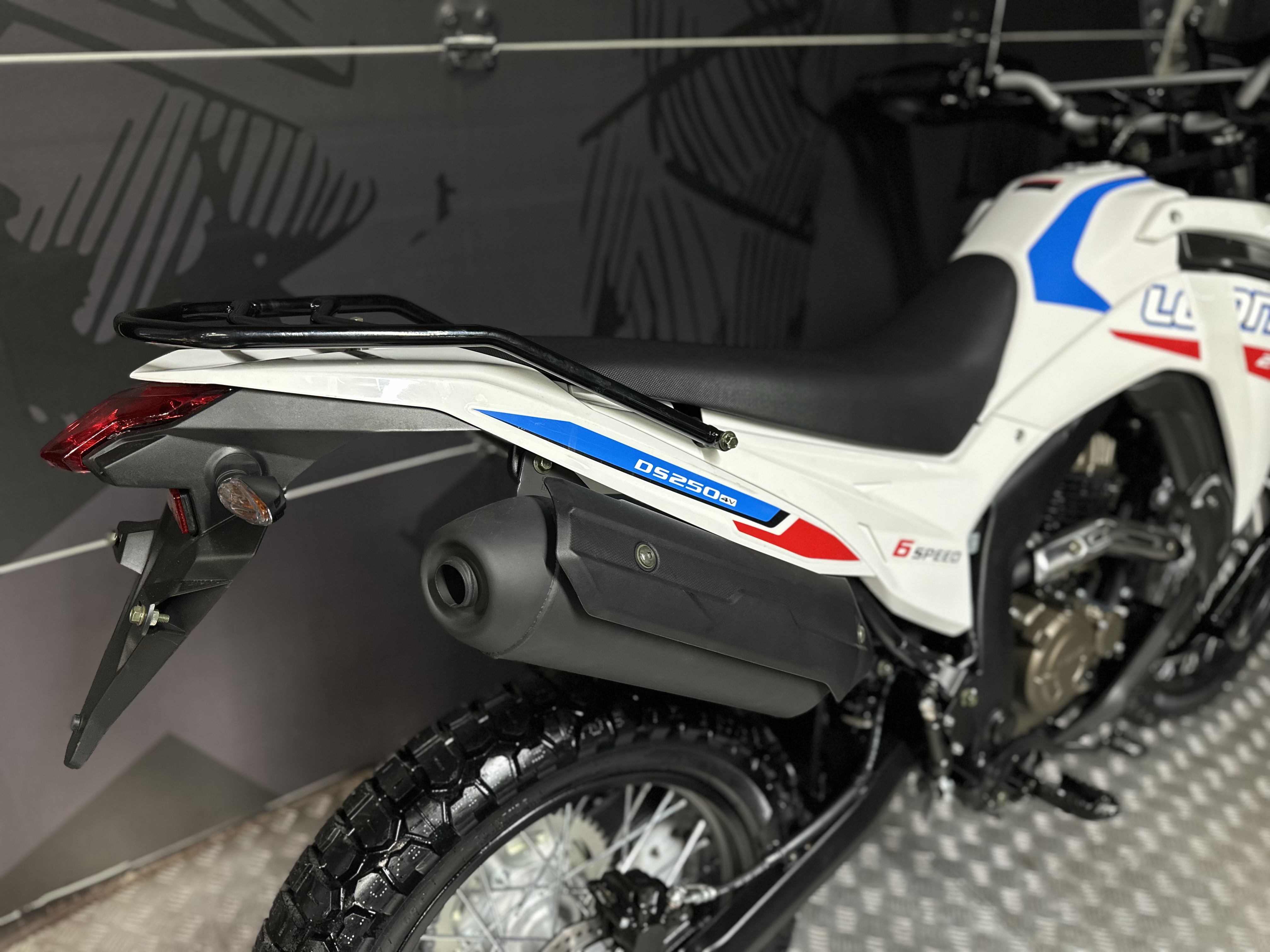 фото Мотоцикл Loncin DS250 Rally