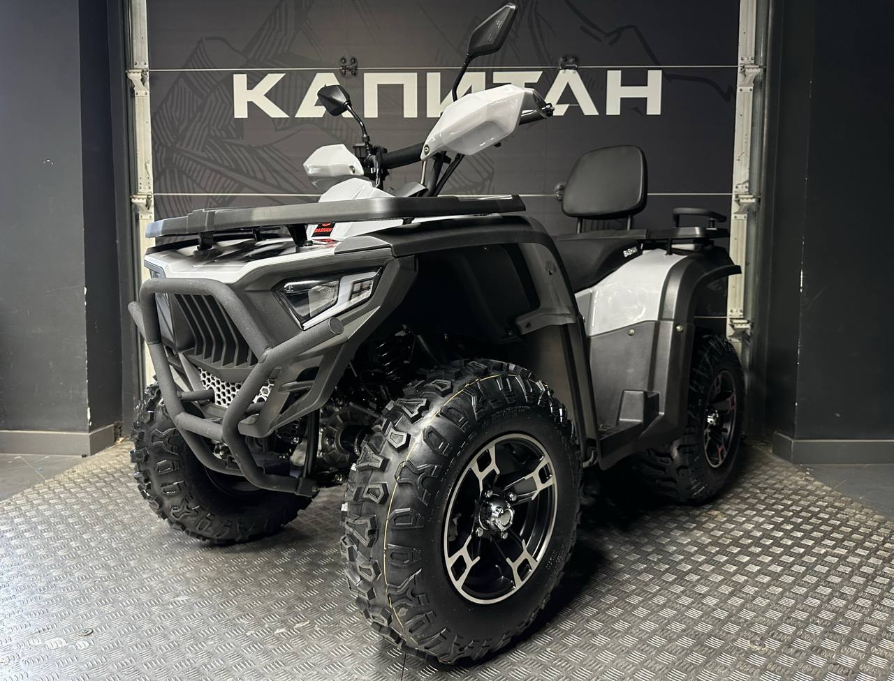 фото Квадроцикл BASHAN EXPLORER 320 EFI 4х4