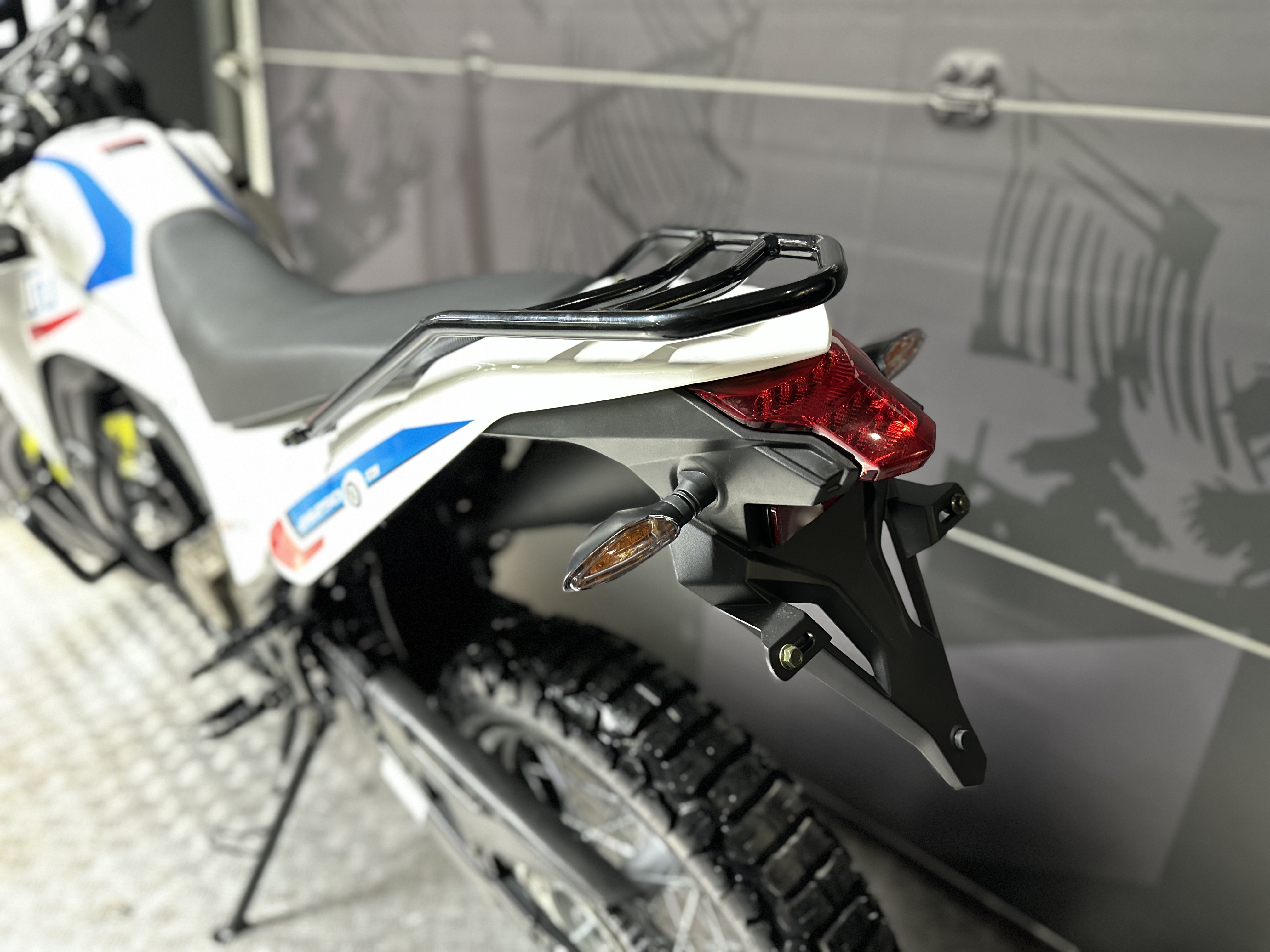 фото Мотоцикл Loncin DS250 Rally