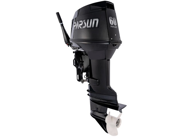 фото PARSUN T60AFWL-T