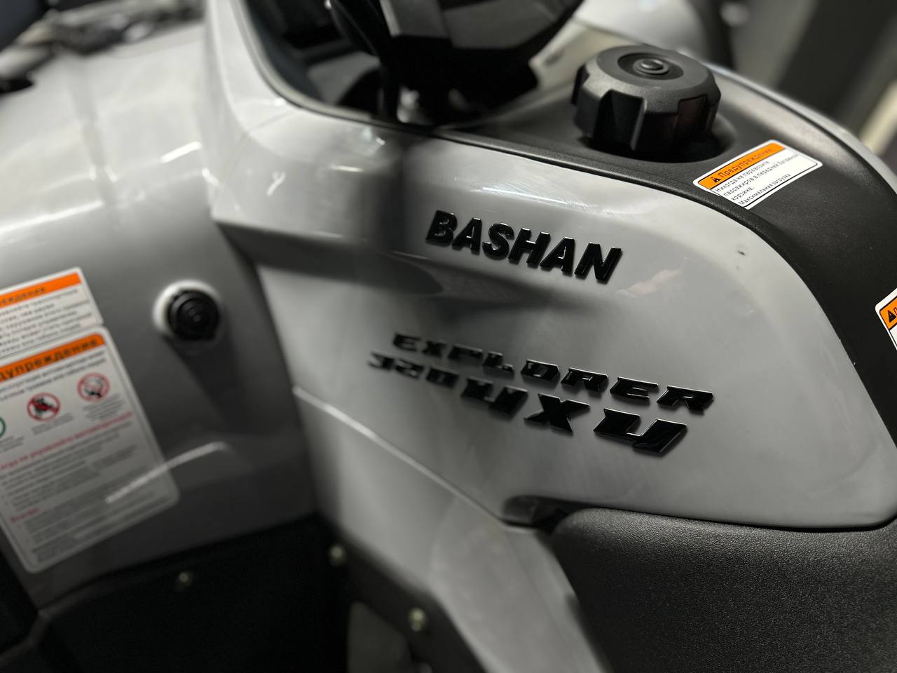 фото Квадроцикл BASHAN EXPLORER 320 EFI 4х4