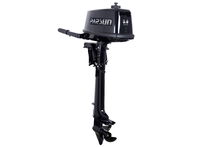 фото PARSUN T5.8BMS-12L