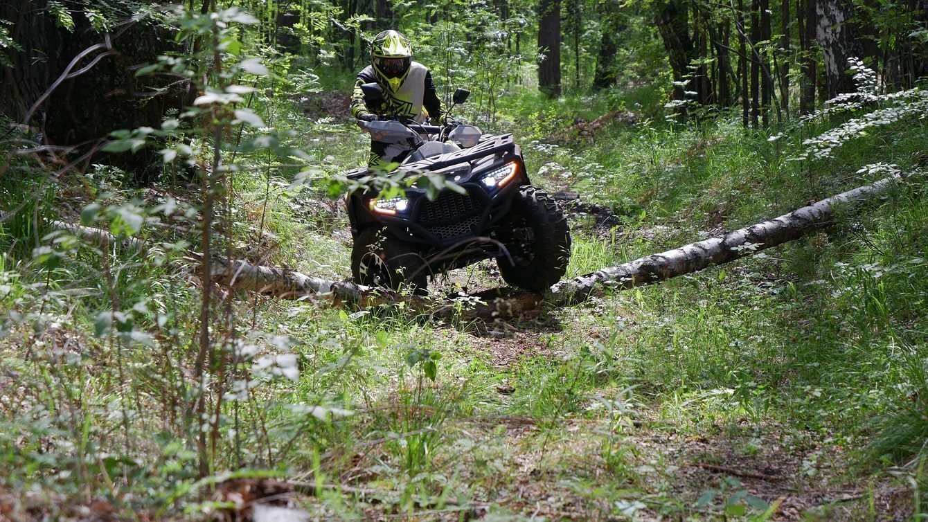 фото Квадроцикл Bashan EXPLORER 300