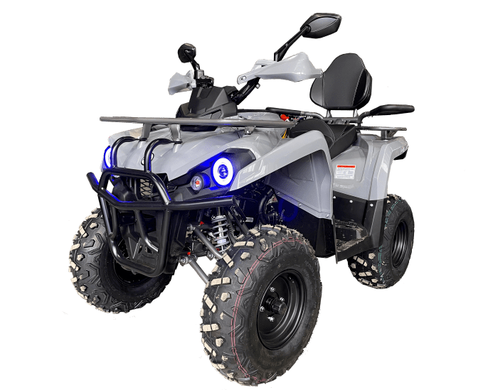 фото Квадроцикл Iride 200 Rover Long