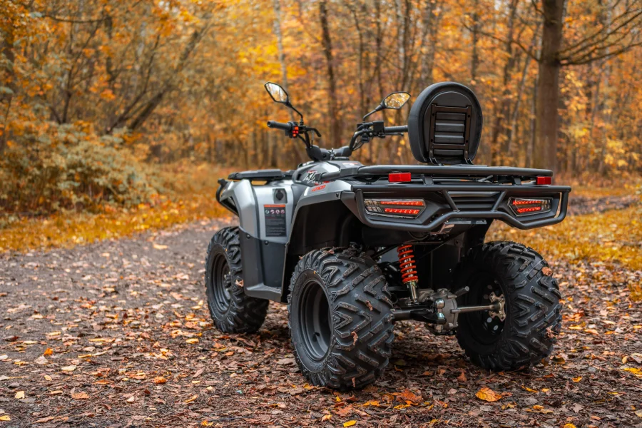 фото Квадроцикл Loncin XWolf 300 Max