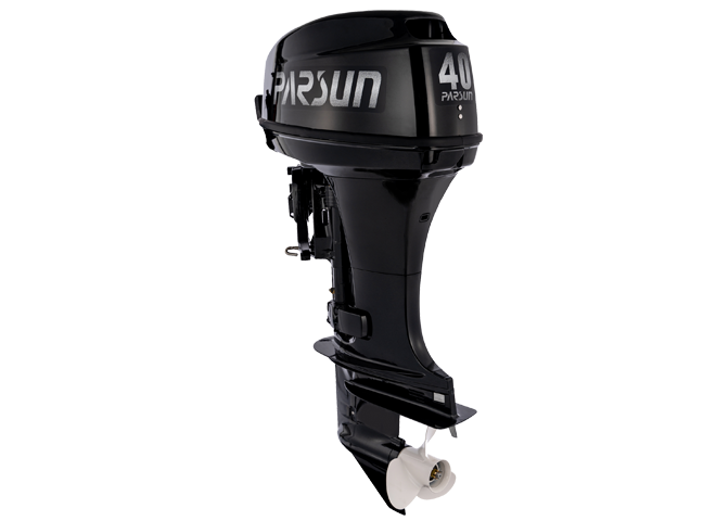 фото PARSUN T40FWS-T