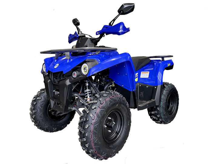 фото Квадроцикл Iride 200 Rover