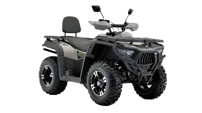 фото Квадроцикл Bashan EXPLORER 300