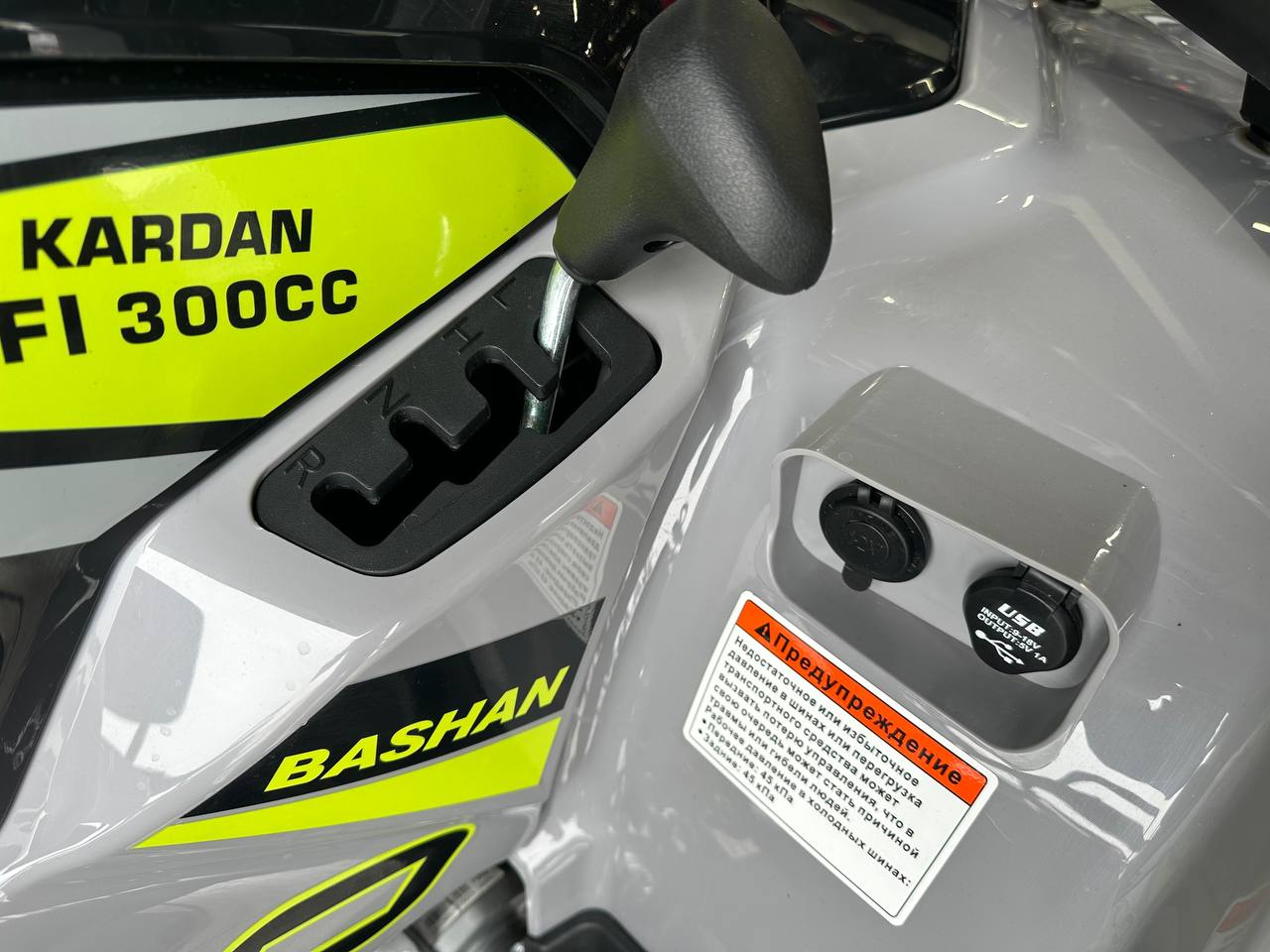 фото Квадроцикл Bashan Kardan 300 EFI 4*2 (сборочный комплект)