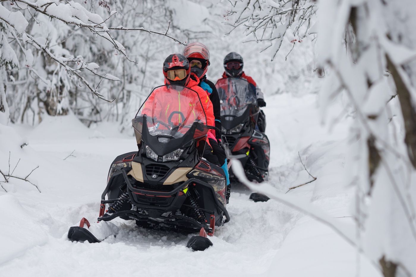 фото Snowcross 1000 SWT SC Чёрно-красный