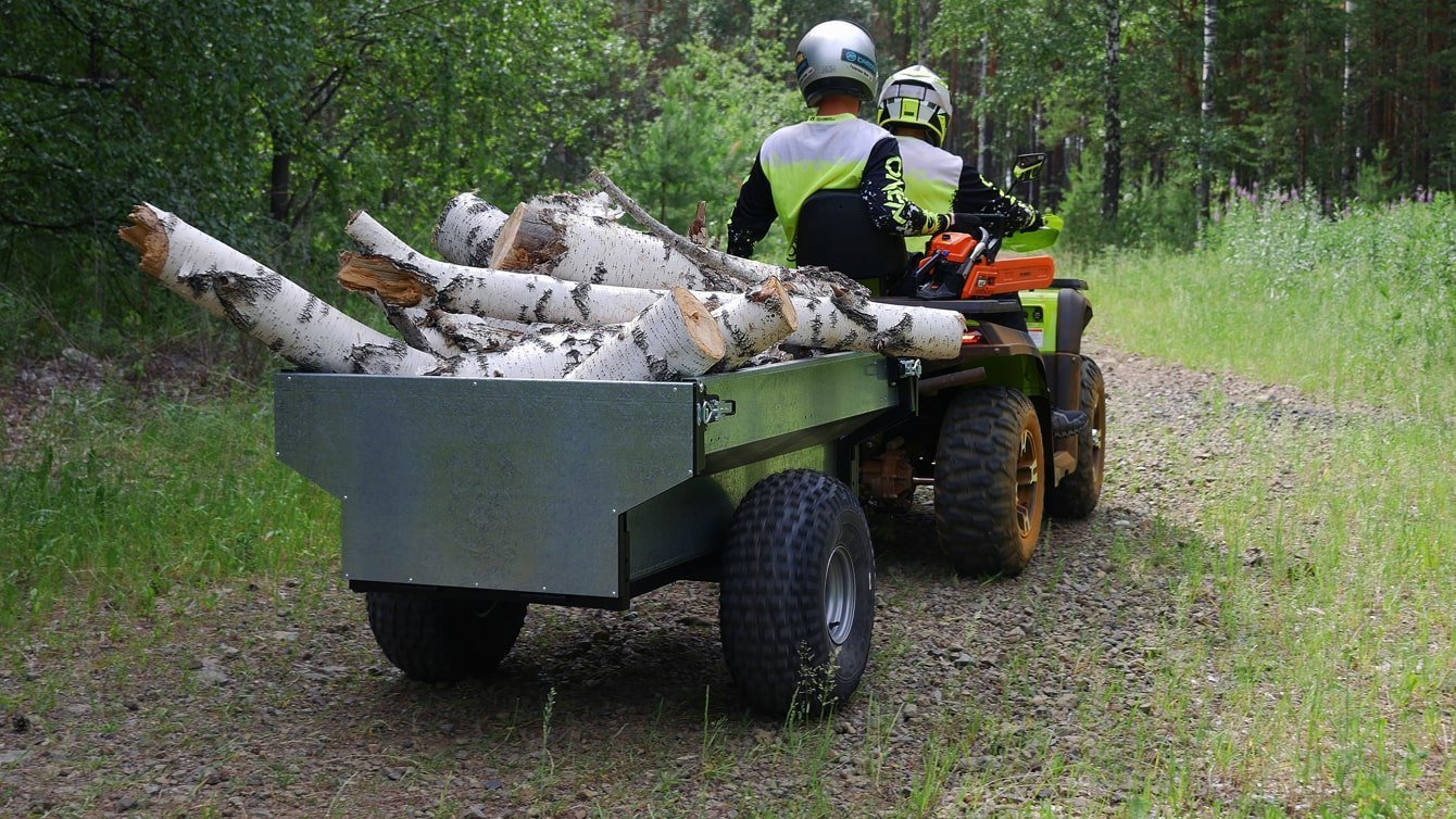 фото Квадроцикл Bashan EXPLORER 300