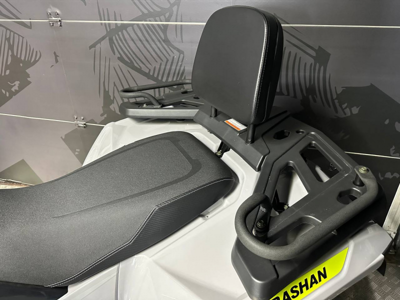 фото Квадроцикл Bashan Kardan 300 EFI 4*2 (сборочный комплект)