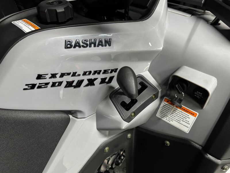 фото Квадроцикл BASHAN EXPLORER 320 EFI 4х4