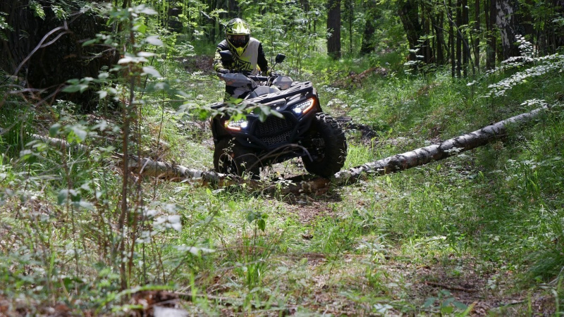 фото Квадроцикл Bashan EXPLORER 300